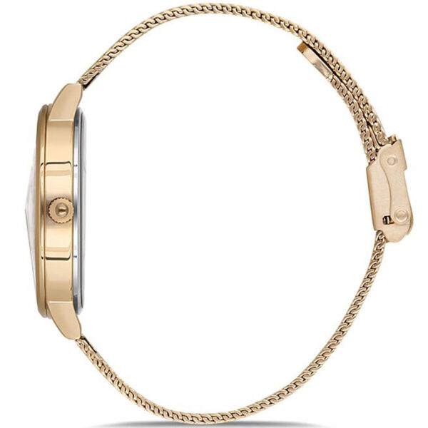 ساعت زنانه دنیل کلین مدل DK.1.12629-2