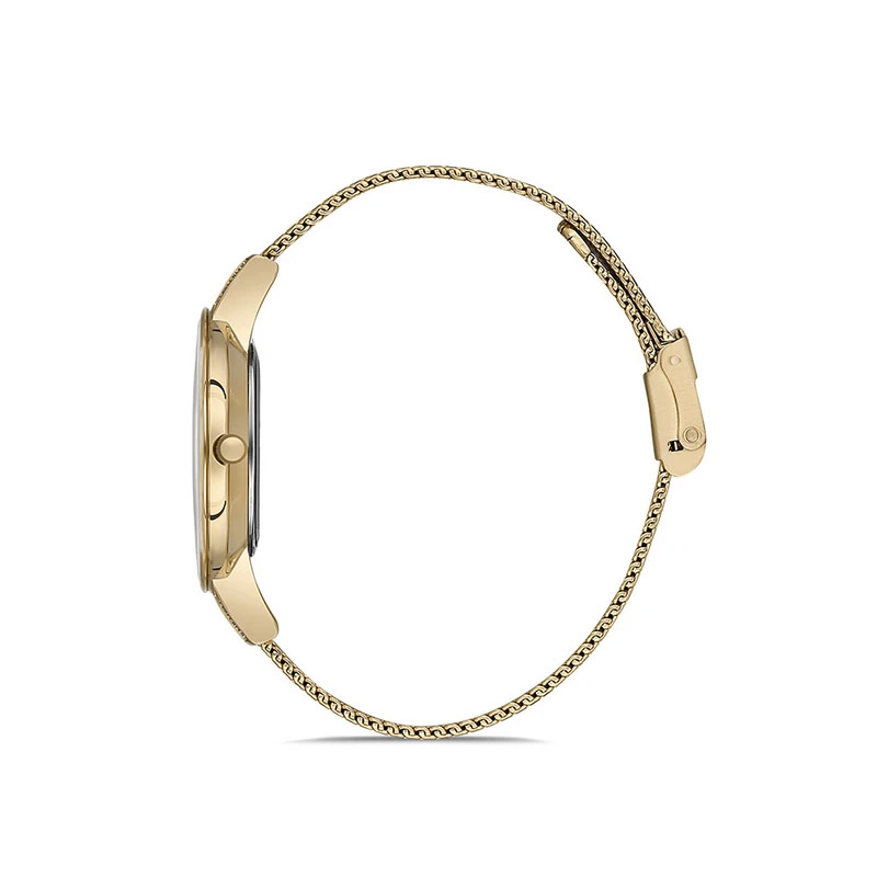 ساعت زنانه دنیل کلین مدل DK.1.12908-2